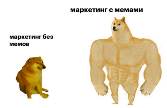 1339-5.png