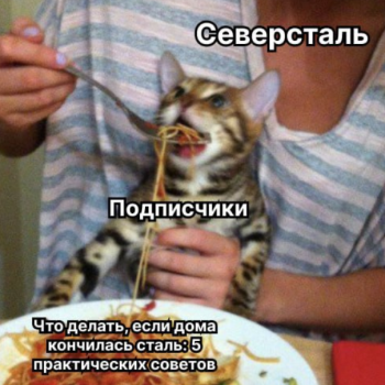 1339-4.png